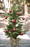 árvore-de-natal 14 lista